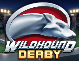 Wildhound Derby